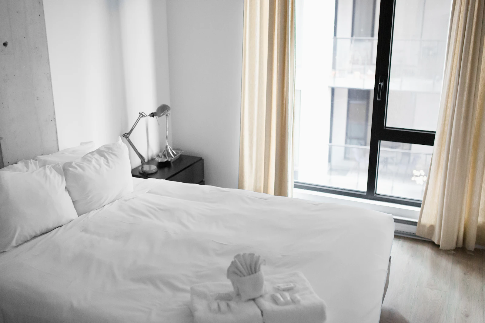 Steam treatment for bed bugs