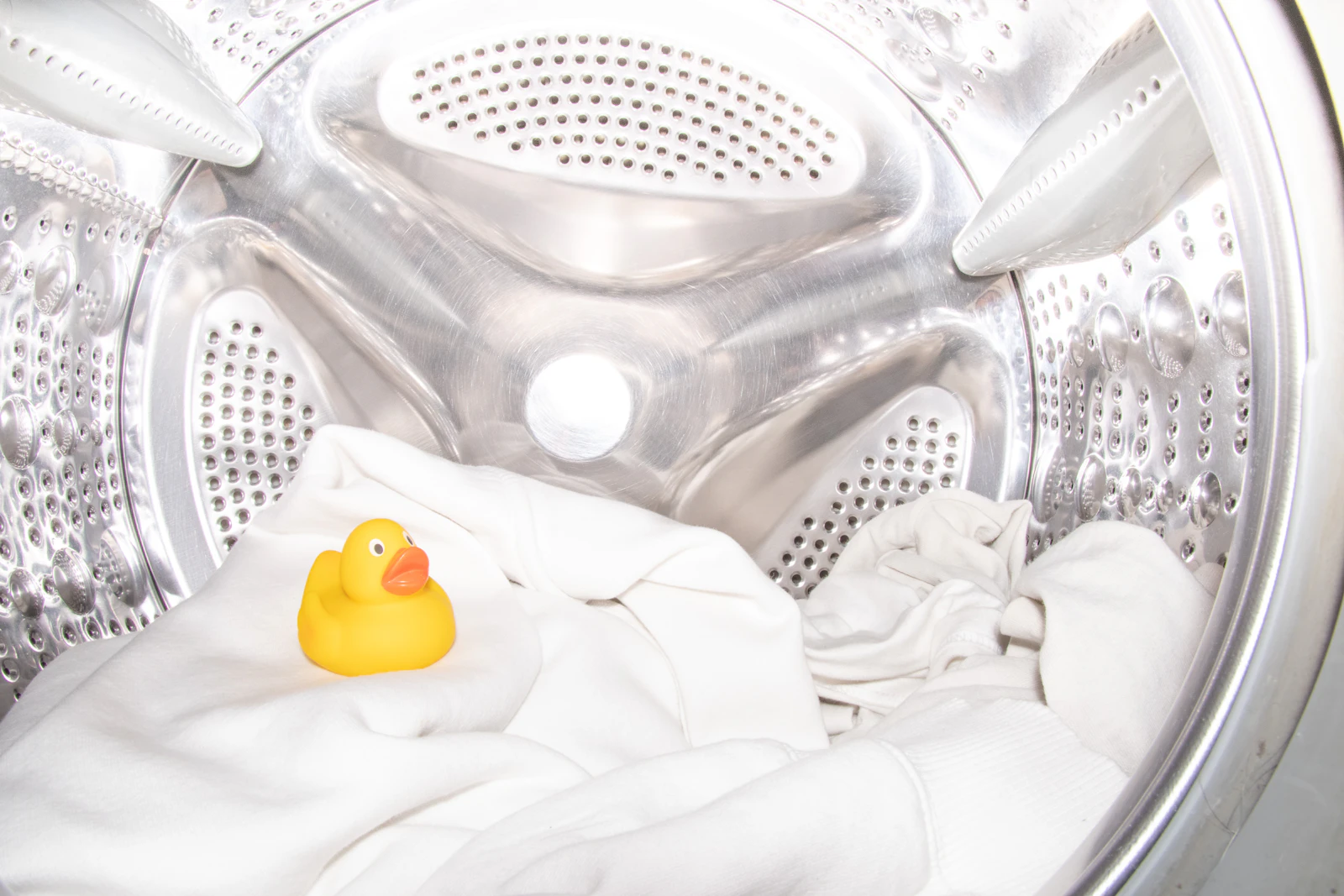 Can you get rid of bed bugs permanently?