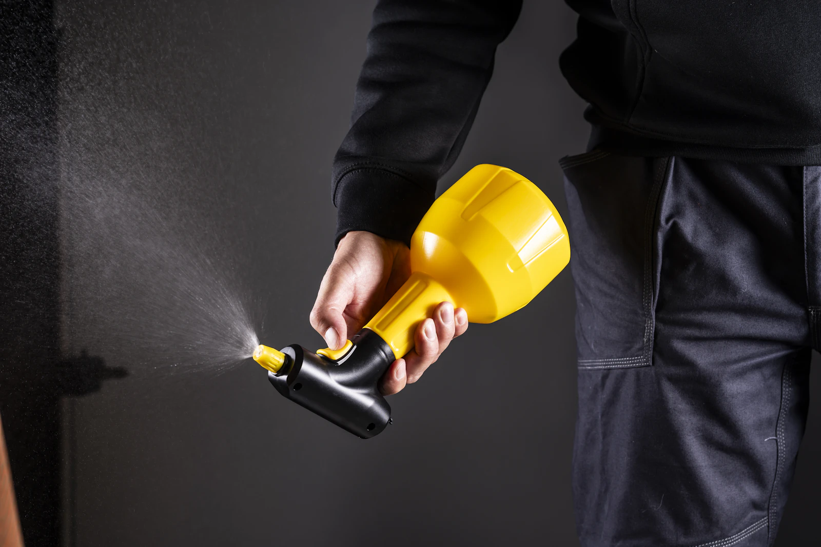 How long bed bug treatment takes